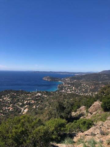 Appartement Rez De Jardin Cavalaire-sur-Mer Exteriör bild