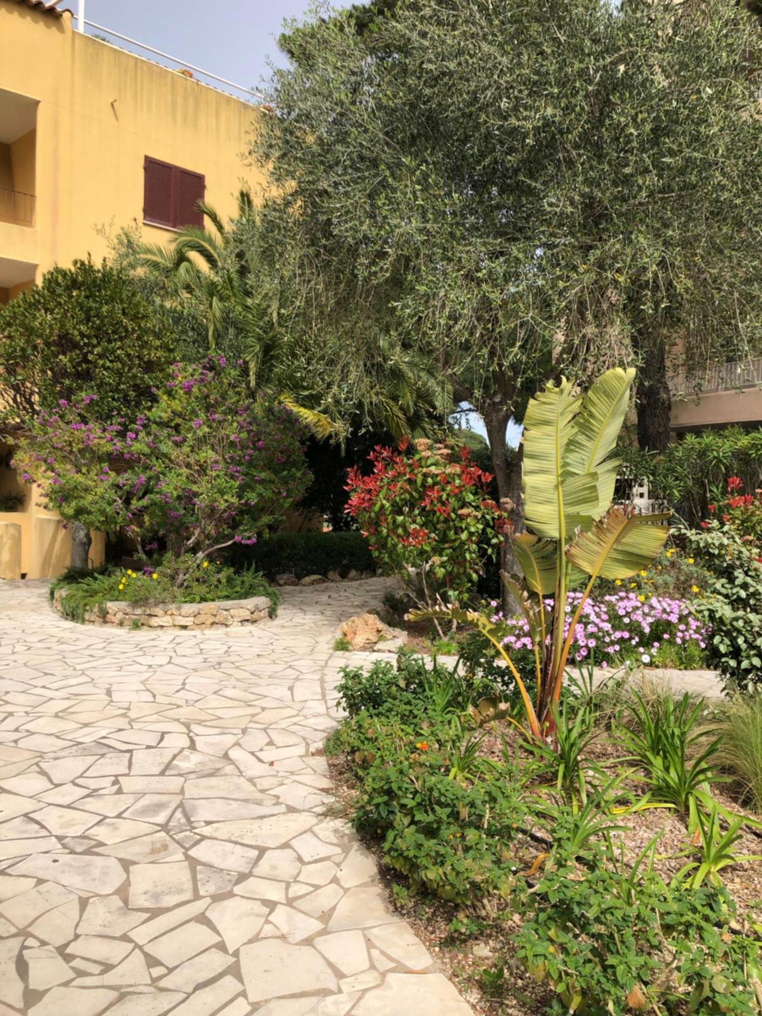 Appartement Rez De Jardin Cavalaire-sur-Mer Exteriör bild